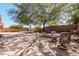Expansive backyard with custom stone patio, mature tree providing ample shade, and elegant outdoor seating at 19405 W Oregon Ave, Litchfield Park, AZ 85340