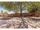 Private backyard featuring a large, mature shade tree, fire pit, and comfortable seating arrangement at 19405 W Oregon Ave, Litchfield Park, AZ 85340