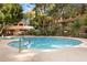 Community pool offers a refreshing escape with clear blue water, inviting residents to relax and socialize at 2989 N 44Th St # 3016, Phoenix, AZ 85018