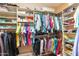 Organized walk-in closet featuring shelving, hanging rods, and ample storage space for clothing at 4511 E Narrowleaf Dr, Gilbert, AZ 85298