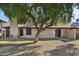View of the backyard showing the patio and large tree for shade at 4530 W Continental Dr, Glendale, AZ 85308