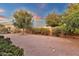 Spacious backyard with mature trees, gravel landscaping, and a well-maintained fence line at 4937 S Peach Willow Ln, Gilbert, AZ 85298
