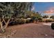 Fully landscaped backyard at 4937 S Peach Willow Ln, Gilbert, AZ 85298