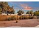 Large, private backyard with mature landscaping and block wall fencing at 4937 S Peach Willow Ln, Gilbert, AZ 85298