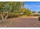 Private backyard featuring mature trees, desert landscaping, and a rock garden at 4937 S Peach Willow Ln, Gilbert, AZ 85298