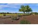 View of landscaped backyard that overlooks the pristine golf course at 4937 S Peach Willow Ln, Gilbert, AZ 85298