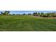 Immaculate green golf course with lush grass at 4937 S Peach Willow Ln, Gilbert, AZ 85298