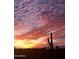 Stunning Arizona sunset with vibrant colors and a prominent saguaro cactus at 1646 N Channing --, Mesa, AZ 85207