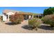 Serene backyard featuring covered patio, colorful flowering bushes, and low-maintenance desert landscaping at 16495 W Monteverde Ln, Surprise, AZ 85374