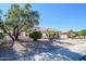 Attractive home featuring mature landscaping, including shade tree and palm trees, enhancing curb appeal at 16495 W Monteverde Ln, Surprise, AZ 85374