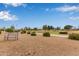 Desert landscaped backyard features open golf course view and decorative shrubbery and mature trees at 21218 N 124Th Ave, Sun City West, AZ 85375