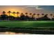 Lush green golf course with palm trees silhouetted against a vibrant sunset sky at 3370 S Ivy Way, Chandler, AZ 85248