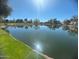 A serene view of a tranquil pond with a clear reflection of the blue sky and the bright sun at 3370 S Ivy Way, Chandler, AZ 85248