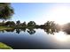 Scenic community pond with trees and green space, creating a peaceful atmosphere at 3370 S Ivy Way, Chandler, AZ 85248