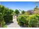 Lush desert landscaping with palm trees and stone paver walkway at 5101 N Casa Blanca Dr # 25, Paradise Valley, AZ 85253