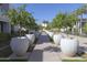 Community garden featuring potted trees in white planters at 6587 N Palmeraie Blvd # 2041, Paradise Valley, AZ 85253