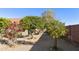 Private backyard with mature trees, gravel landscaping, and cozy patio seating at 8354 E Emelita Ave, Mesa, AZ 85208