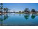 Breathtaking view of the clear blue pond featuring a lovely fountain and palm trees, perfect for a relaxing afternoon at 8354 E Emelita Ave, Mesa, AZ 85208