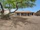 Spacious backyard with desert landscaping, a large shade tree, and a covered patio at 9437 E Champagne Dr, Sun Lakes, AZ 85248