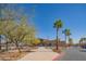 Modern community center with inviting architecture, palm trees, and a welcoming entrance for residents at 9729 E Theia Dr, Mesa, AZ 85212
