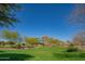 Serene green space with a wide expanse of grass, mature trees, and neighborhood homes in the distance at 9729 E Theia Dr, Mesa, AZ 85212
