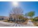 Suburban street featuring sidewalks, green lawns and beautiful homes at 9729 E Theia Dr, Mesa, AZ 85212