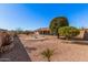 Expansive backyard features desert landscaping with mature trees and patio at 11525 E Laguna Azul Cir, Mesa, AZ 85209