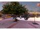 Landscaped backyard featuring a citrus tree and picturesque waterfront setting at sunset at 1470 S Villas Ct, Chandler, AZ 85286