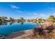 Scenic view of a tranquil lake surrounded by lush greenery and inviting waterfront properties on a sunny day at 1470 S Villas Ct, Chandler, AZ 85286