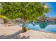 Picturesque view of a waterfront property featuring an orange tree, waterfront and serene water reflections at 1470 S Villas Ct, Chandler, AZ 85286