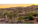 Beautiful desert landscape view that includes several homes, trees, plants, and cacti at 16341 E Links Dr, Fountain Hills, AZ 85268