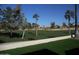 Scenic backyard showcasing lush green grass, mature trees, and a serene outdoor environment at 19420 N Westbrook Pkwy # 510, Peoria, AZ 85382