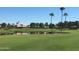 Scenic view of the golf course showcasing the pond, lush green, and residential properties at 24822 S Sedona Dr, Sun Lakes, AZ 85248