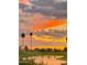 Picturesque view of the lake at sunset, featuring a vibrant sky and silhouettes of palm trees at 24822 S Sedona Dr, Sun Lakes, AZ 85248