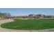 Well maintained community with lush green spaces, walking paths, and nearby homes at 25930 N Thornhill Dr, Peoria, AZ 85383