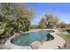 Backyard pool surrounded by mature landscaping and desert vegetation at 28604 N 92Nd Pl, Scottsdale, AZ 85262