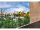 A view of a residential street with trees and landscaping, as seen from a private balcony at 7021 E Earll Dr # 223, Scottsdale, AZ 85251
