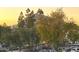 Scenic landscape with trees and foliage showcasing a tranquil view of a mountain in the distance at 7021 E Earll Dr # 223, Scottsdale, AZ 85251