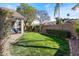 Well-manicured backyard featuring lush green grass, mature trees, and privacy landscaping at 804 N Jamaica Way, Gilbert, AZ 85234