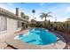 Private backyard pool with a tanning ledge, mature palm trees, and ample room for lounge chairs at 804 N Jamaica Way, Gilbert, AZ 85234