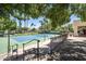 Well-maintained tennis courts surrounded by lush trees, providing a private and scenic playing experience at 804 N Jamaica Way, Gilbert, AZ 85234