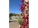 Community pool and sunbathing area with umbrellas and lush greenery at 9110 E Clubhouse Ct # 639, Scottsdale, AZ 85262