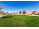 Expansive community green space, perfect for outdoor activities and relaxation at 1060 W Castle Ct, Casa Grande, AZ 85122