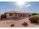 Expansive backyard featuring desert landscaping, a covered patio, and a neutral-toned exterior, perfect for relaxing or entertaining at 10856 E Kiva Ave, Mesa, AZ 85209