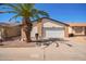 Home exterior with two car garage, desert landscaping, and a mature palm tree at 14224 N 26Th Ln, Phoenix, AZ 85023