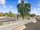 Balcony overlooking a serene street with lush greenery and a view of neighboring homes at 14425 N 137Th Ln, Surprise, AZ 85379