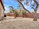 Spacious backyard featuring a block wall, desert vegetation, and a mature tree for shade at 15819 W Ripple Rd, Goodyear, AZ 85338