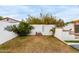 Landscaped backyard features a textured white wall, a small bench, a citrus tree, and patio area at 2744 E Windrose Dr, Phoenix, AZ 85032