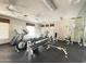 Well-equipped fitness center with treadmills, weights, and machines for a full-body workout at 3131 E Legacy Dr # 2105, Phoenix, AZ 85042