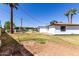 Large grassy backyard offering ample space, privacy fencing, and potential for outdoor living at 3707 E Amelia Ave, Phoenix, AZ 85018